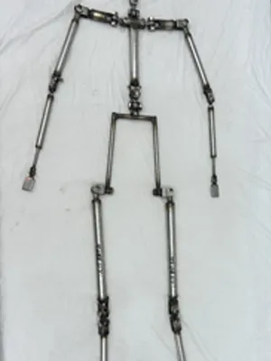 EVO Skeleton