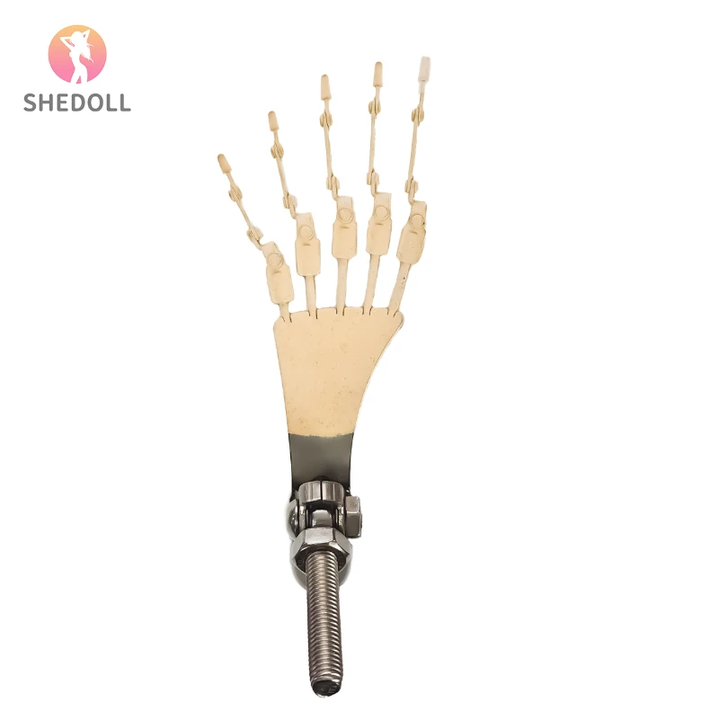 Simulated foot bones