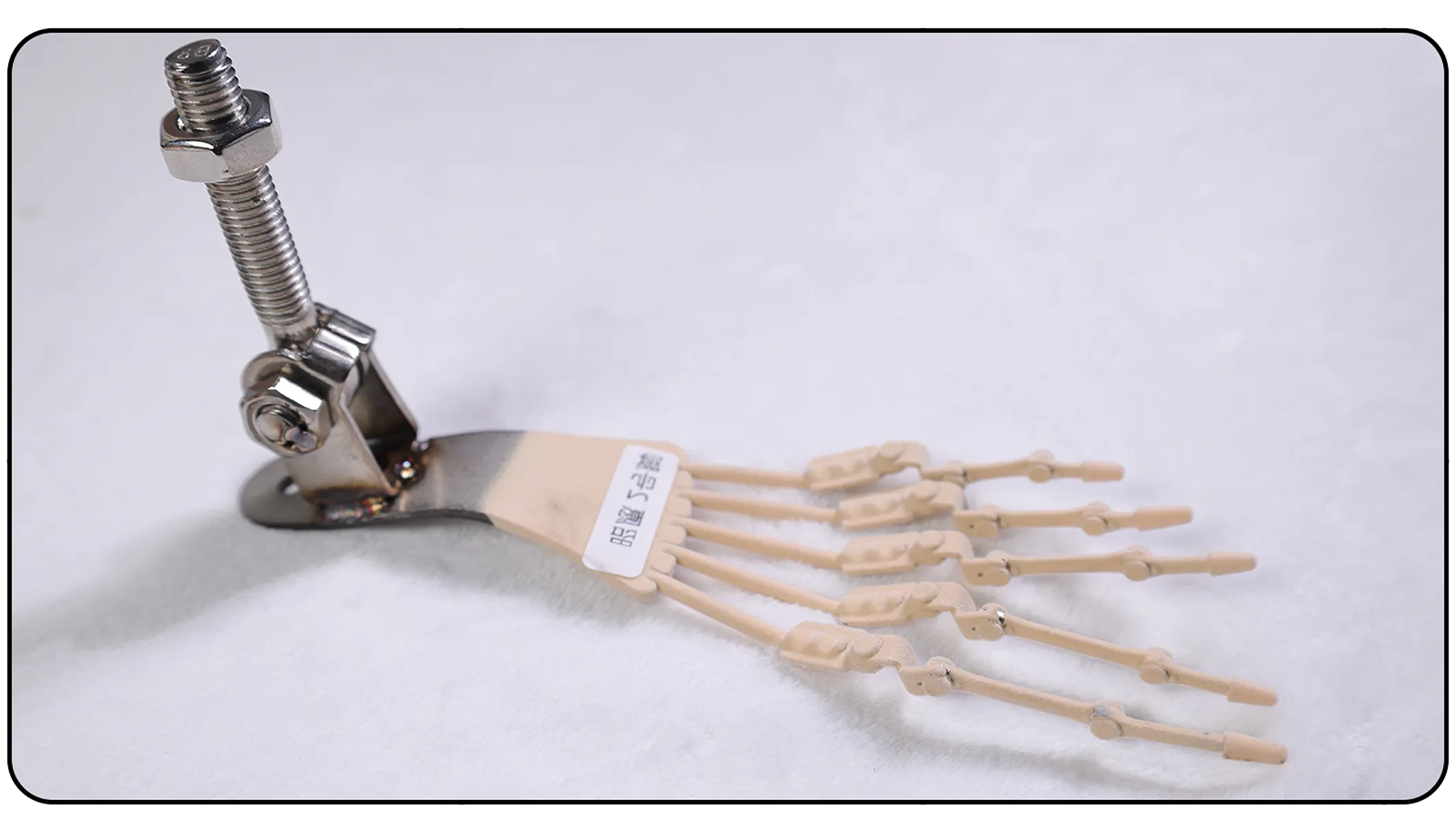Simulated foot bones
