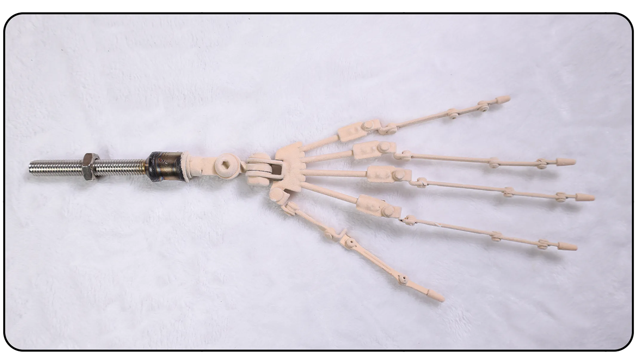 Realistic finger bone structure